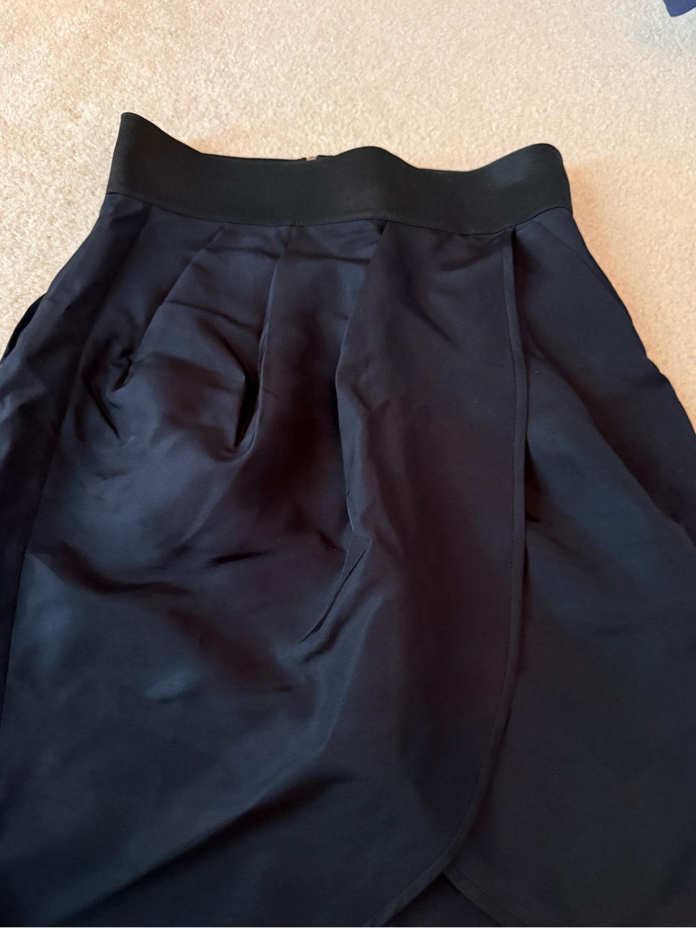 Aritzia Wilfred - Black A-Line Tulip Silk Skirt